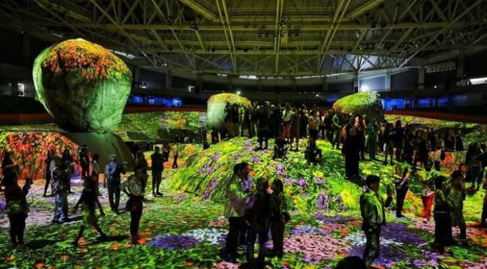 Natura e Rock in Rio anunciam nova edição da NAVE, inspirada na Amazônia. Veja