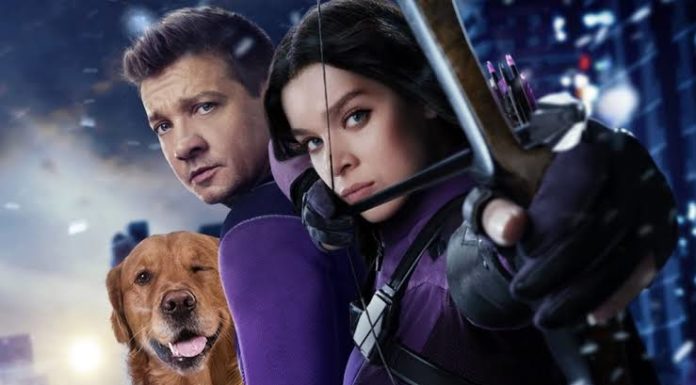 Gavião Arqueiro Review: Uma dupla de aquecer os nossos corações!