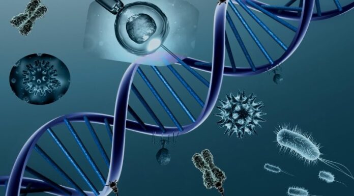 Estudantes de Sampa aprendem genética de um jeito diferentão. Veja!