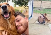Gustavo Tubarão chama atenção para a importância do apoio emocional dos pets