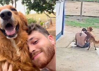 Gustavo Tubarão chama atenção para a importância do apoio emocional dos pets