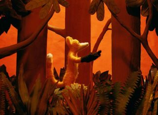 Festival do Rio leva 9 filmes sobre meio ambiente e direitos humanos