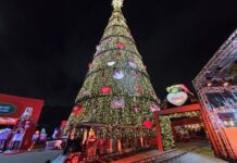 Coca-Cola FEMSA Brasil dá início à temporada de Natal com árvore gigante e Caravana iluminada no Parque Villa-Lobos