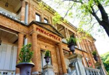 Pinacoteca: Clientes das Linhas 4-Amarela e 5-Lilás ganham acesso gratuito