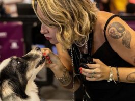 Arnold Sports Festival 2026 recebe lançamento do CIPET para saúde animal.