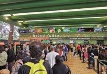 Reserva Paulista abre mutirão com mais de 100 vagas CLT no Zoológico de SP, Jardim Botânico e Simba Safari