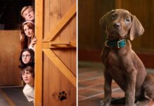 Netflix revela primeira imagem de Scooby-Doo: A Origem e surpreende fãs