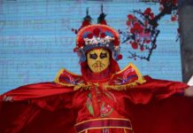 Asia Town Festival traz gastronomia e cultura asiática