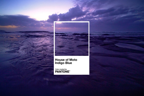 Moto-Indigo