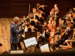 Instituto Baccarelli completa 30 anos transformando vidas